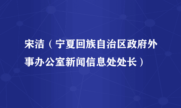 宋洁（宁夏回族自治区政府外事办公室新闻信息处处长）