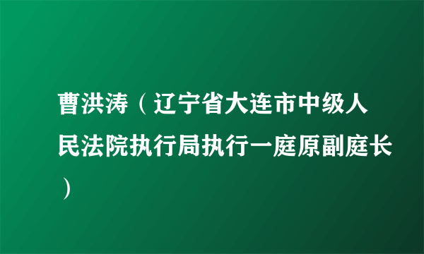 曹洪涛（辽宁省大连市中级人民法院执行局执行一庭原副庭长）