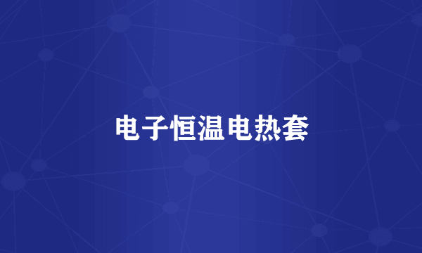 电子恒温电热套