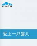 爱上一只猫儿
