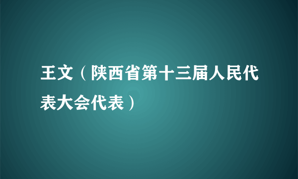 王文（陕西省第十三届人民代表大会代表）