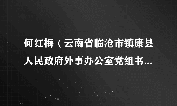 何红梅（云南省临沧市镇康县人民政府外事办公室党组书记、主任）