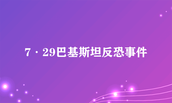 7·29巴基斯坦反恐事件