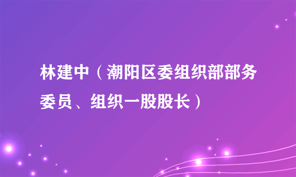 林建中（潮阳区委组织部部务委员、组织一股股长）