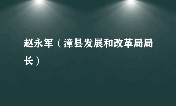 赵永军（漳县发展和改革局局长）