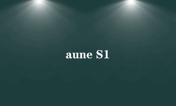 aune S1