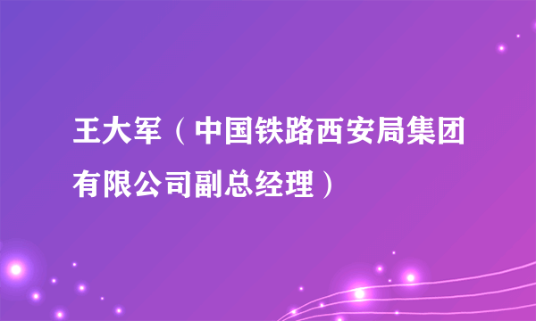 王大军（中国铁路西安局集团有限公司副总经理）