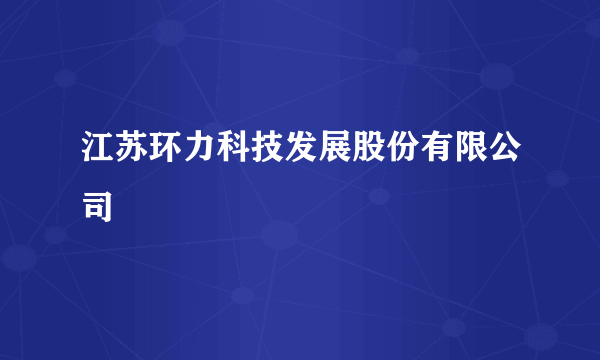 江苏环力科技发展股份有限公司