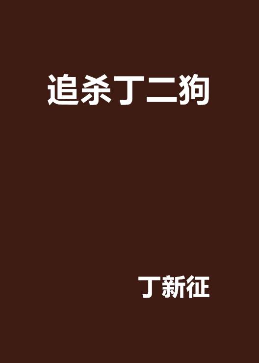 追杀丁二狗