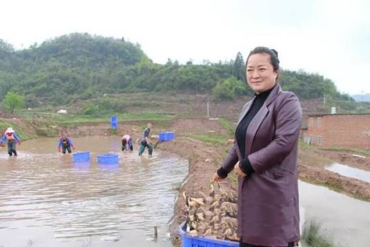 雷丹（金沙县后山镇茂塘生态农业发展公司董事长）