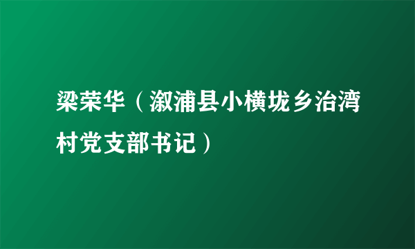 梁荣华（溆浦县小横垅乡治湾村党支部书记）