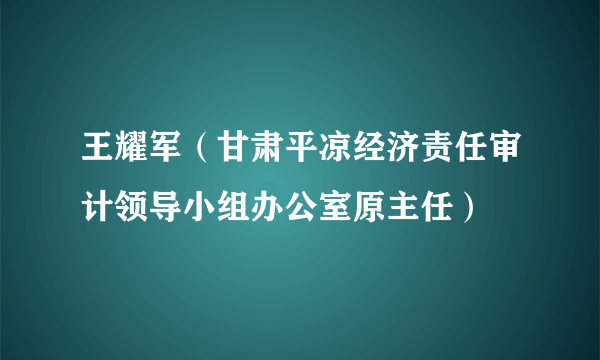 王耀军（甘肃平凉经济责任审计领导小组办公室原主任）