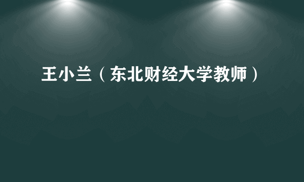王小兰（东北财经大学教师）