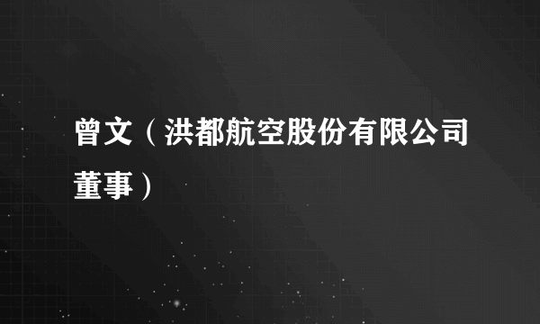 曾文（洪都航空股份有限公司董事）