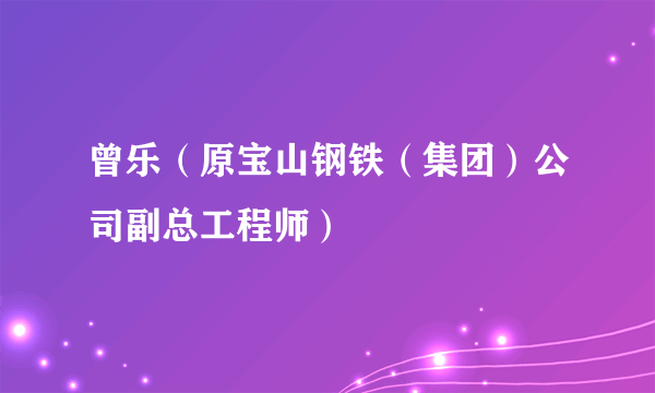 曾乐（原宝山钢铁（集团）公司副总工程师）