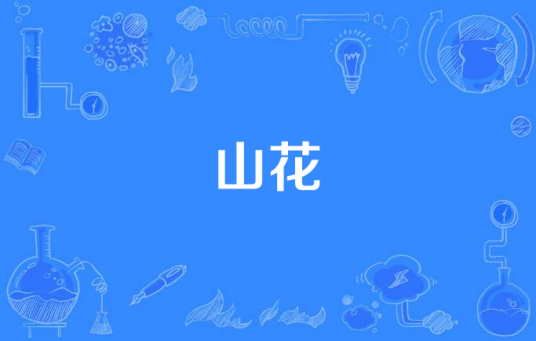 山花（2009年电视剧）