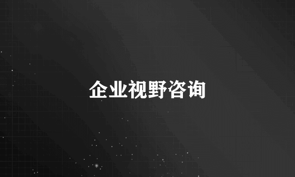 企业视野咨询