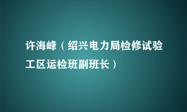 许海峰（绍兴电力局检修试验工区运检班副班长）