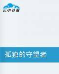 孤独的守望者（小说）