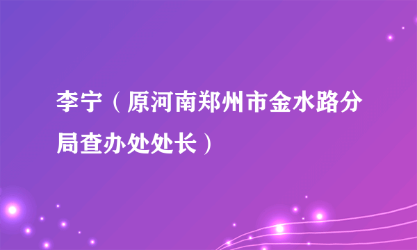 李宁（原河南郑州市金水路分局查办处处长）
