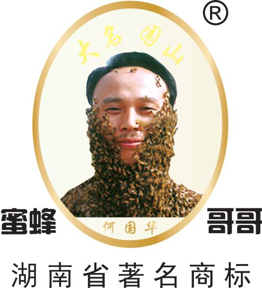 湖南蜜蜂哥哥蜂业有限公司