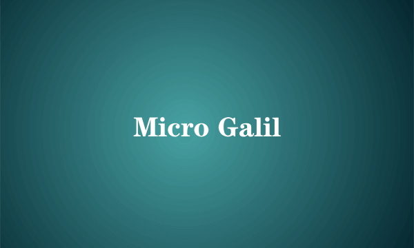 Micro Galil