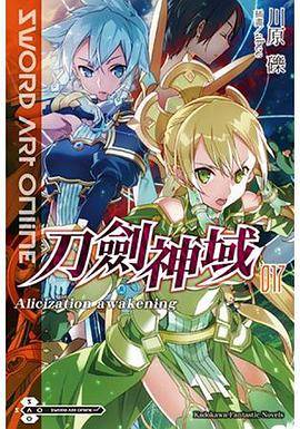Sword Art Online 刀剑神域 (17)