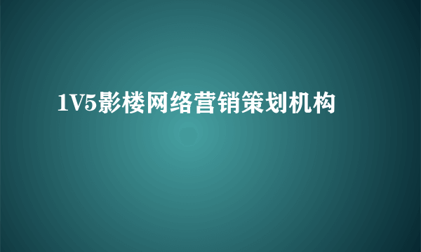 1V5影楼网络营销策划机构