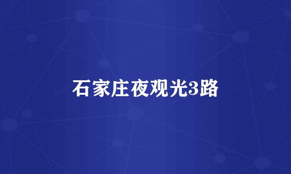 石家庄夜观光3路