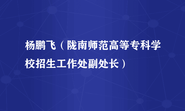 杨鹏飞（陇南师范高等专科学校招生工作处副处长）