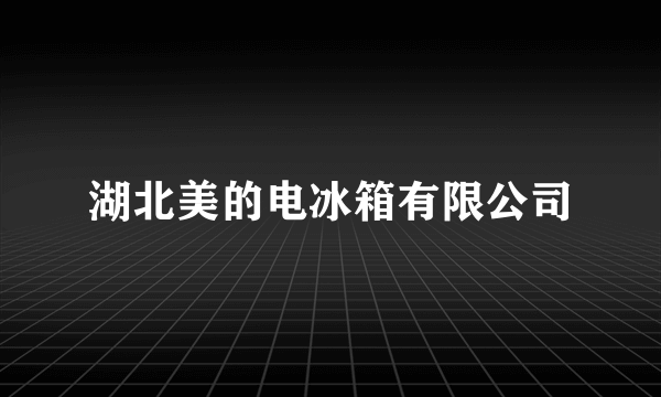 湖北美的电冰箱有限公司