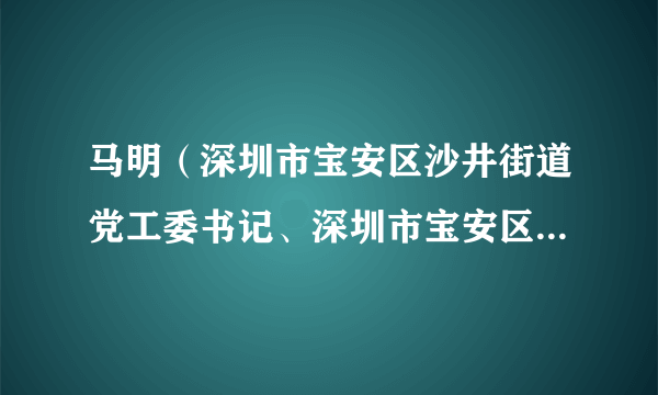 马明（深圳市宝安区沙井街道党工委书记、深圳市宝安区沙井街道办事处主任）