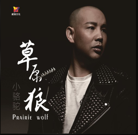 边疆（小骆驼《骆驼的想法》专辑中的歌曲）