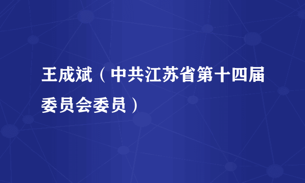 王成斌（中共江苏省第十四届委员会委员）