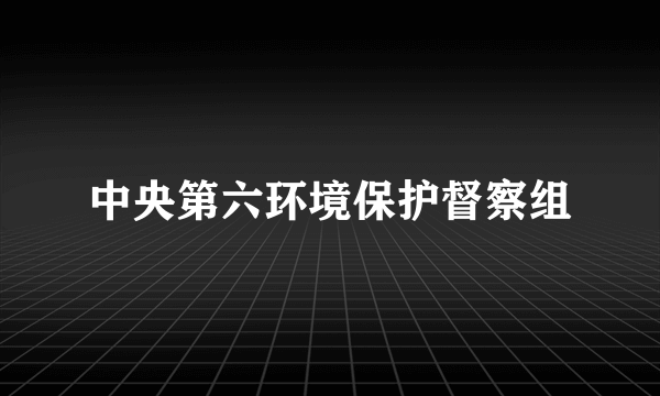 中央第六环境保护督察组