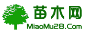 江苏花木网