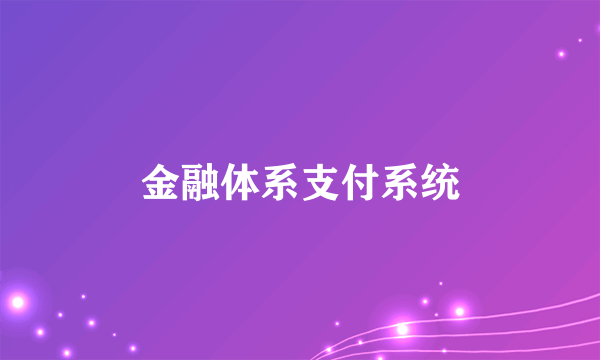 金融体系支付系统
