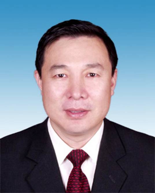 王哲（河南省人民政府国资委正厅长级干部）