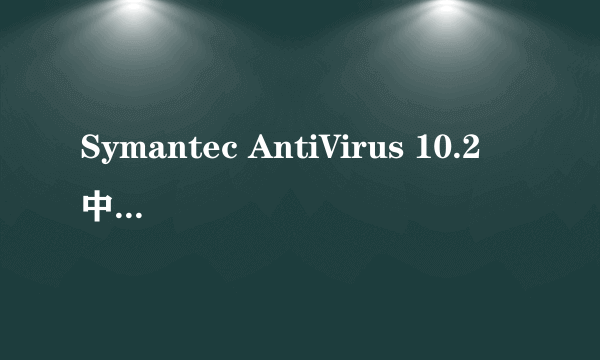 Symantec AntiVirus 10.2 中文产品包(10U)