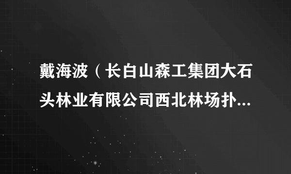 戴海波（长白山森工集团大石头林业有限公司西北林场扑火队长）