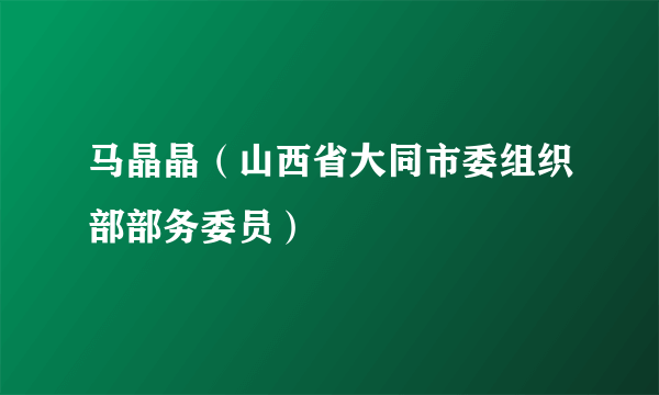 马晶晶（山西省大同市委组织部部务委员）