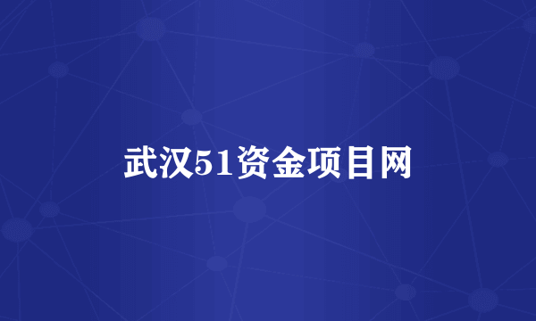 武汉51资金项目网