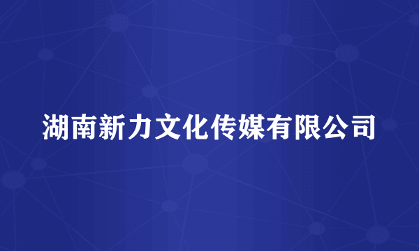 湖南新力文化传媒有限公司