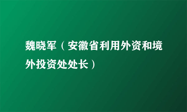 魏晓军（安徽省利用外资和境外投资处处长）