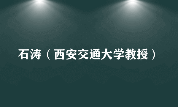 石涛（西安交通大学教授）