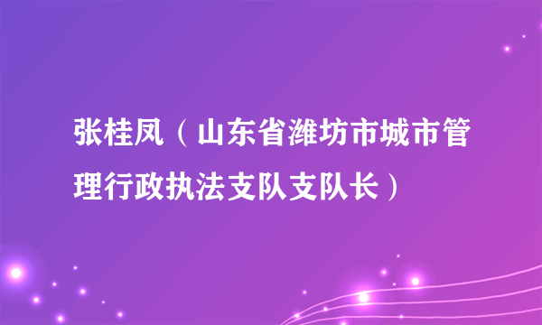 张桂凤（山东省潍坊市城市管理行政执法支队支队长）