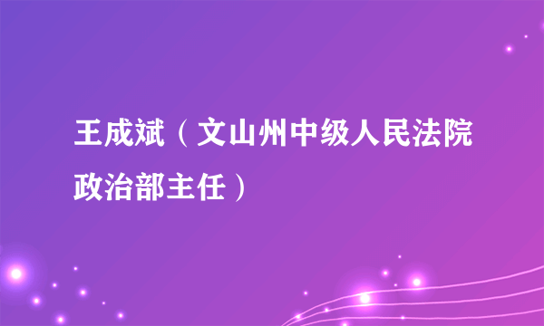 王成斌（文山州中级人民法院政治部主任）
