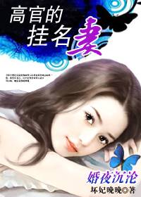婚夜沉沦：高官的挂名妻