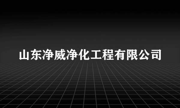 山东净威净化工程有限公司