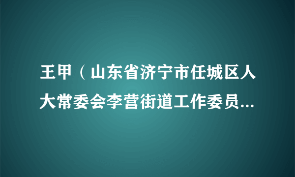 王甲（山东省济宁市任城区人大常委会李营街道工作委员会副主任）